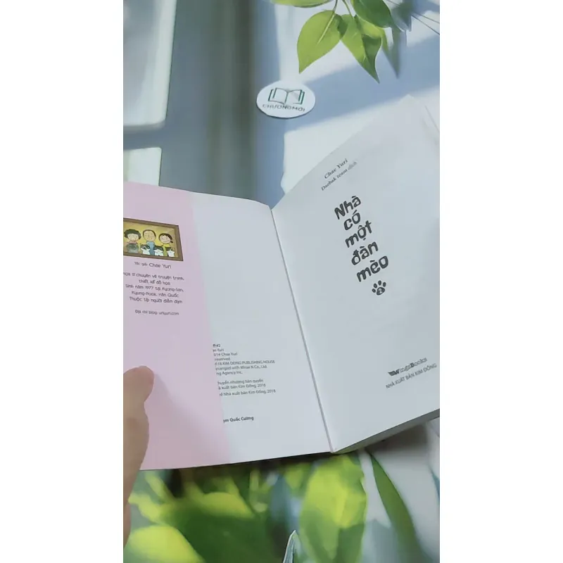 Nhà Có Một Đàn Mèo 2 - Chae Yuri 744718