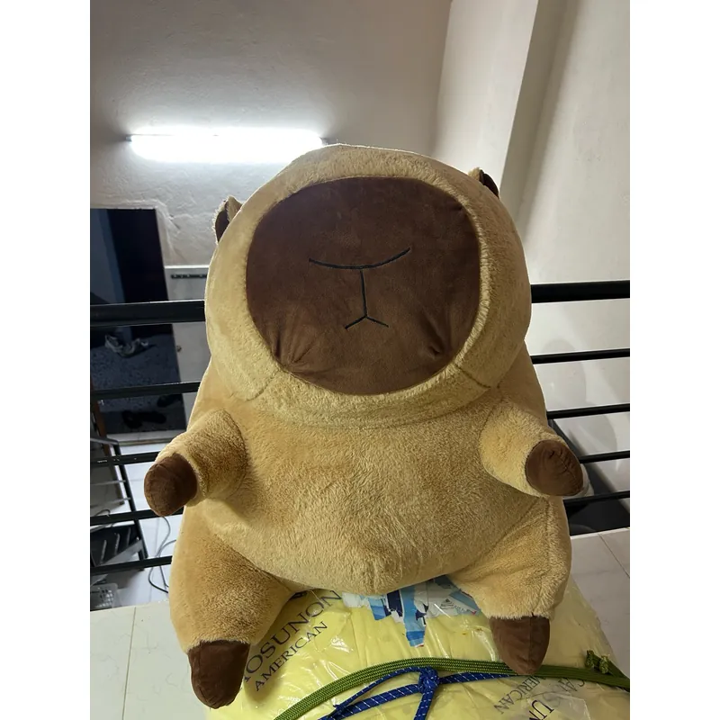 Gấu Capybara 1071716