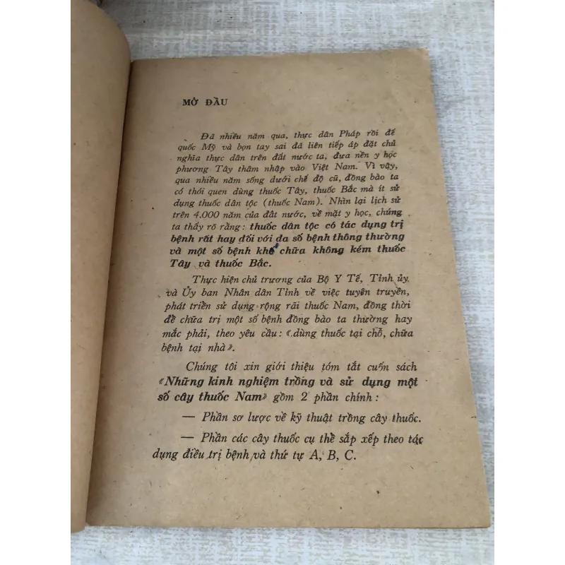 Những kinh nghiệm trồng và sử dụng 1 số cây thuốc nam 995088