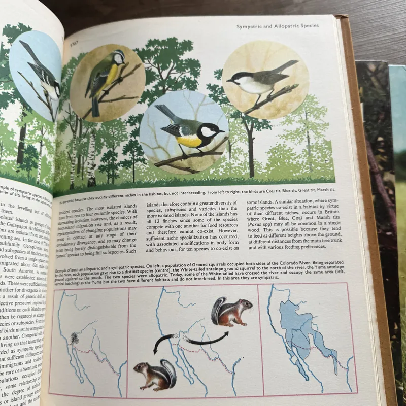 Encyclopedia of the Animal World 734448