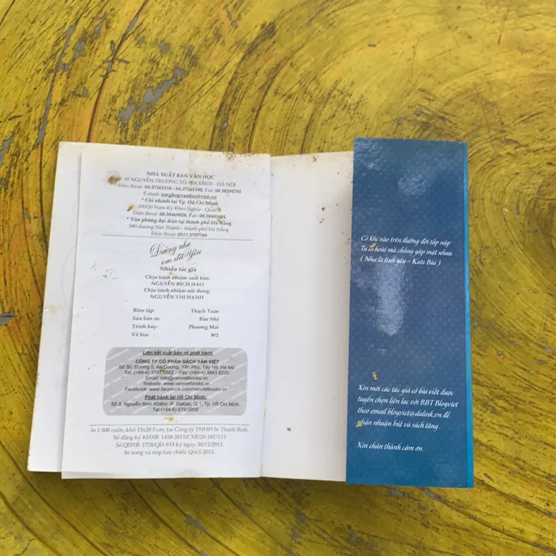 DƯỜNG NHƯ EM ĐÃ YÊU- tập truyện ngắn  785140