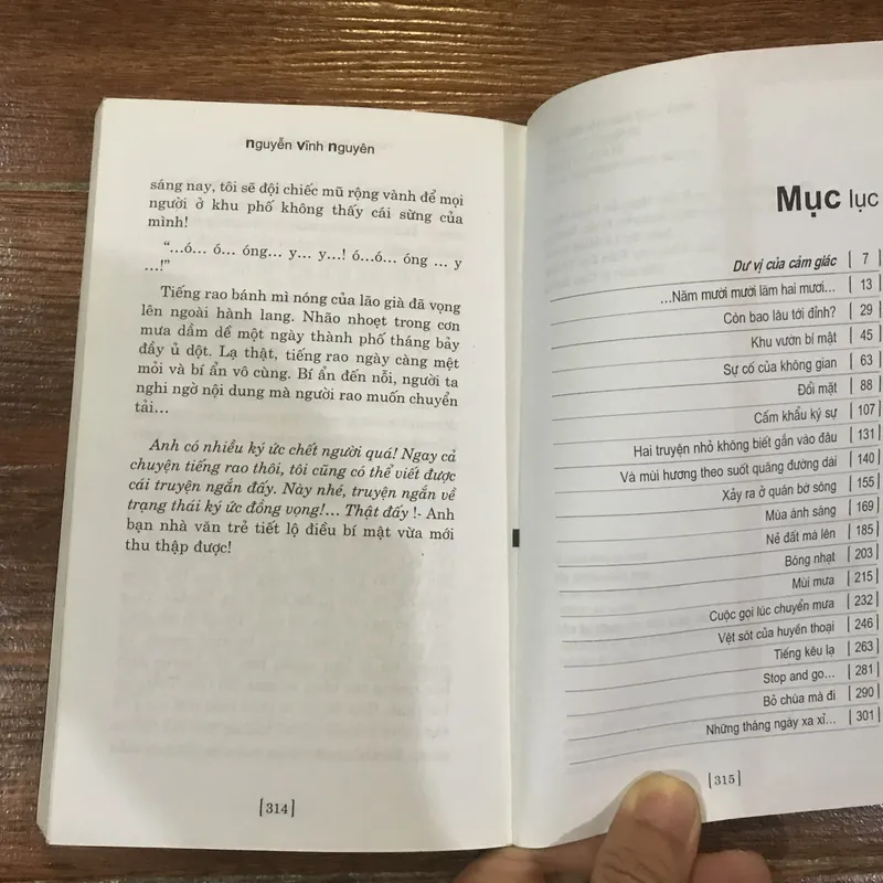 Năm mười mười lăm hai mươi - Nguyễn Vĩnh Nguyên (6) 705469