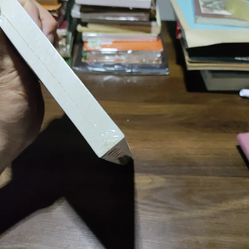 Trong Gia Đình - Hector Malot 1006044