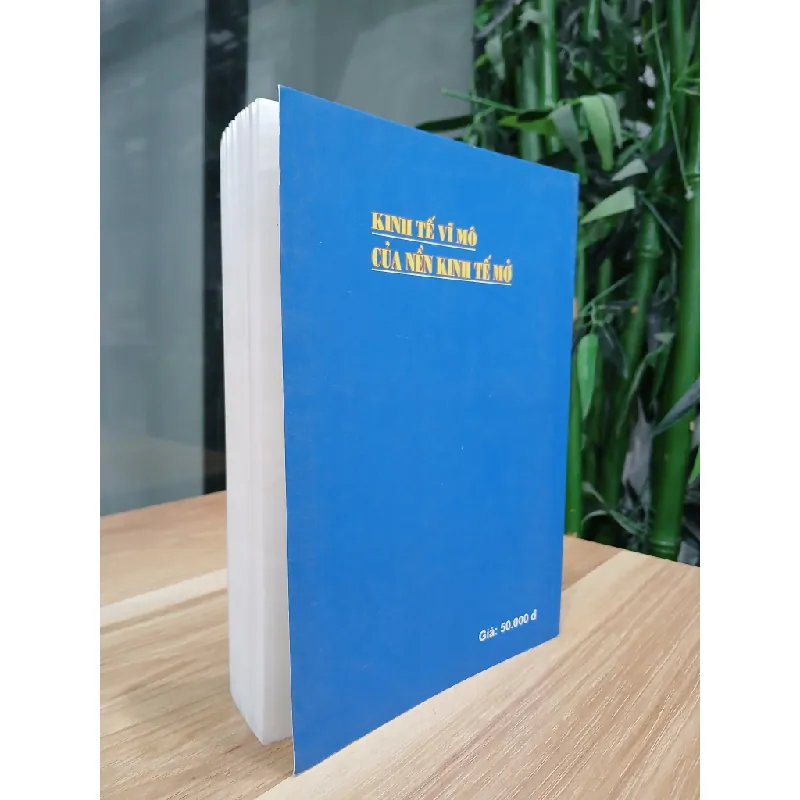 Kinh tế vĩ mô của nên kinh tế mở 563632