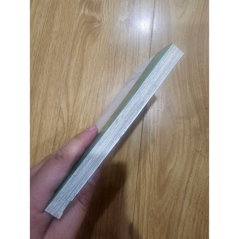 Tsubasa giấc mơ sân cỏ tập 27 454495