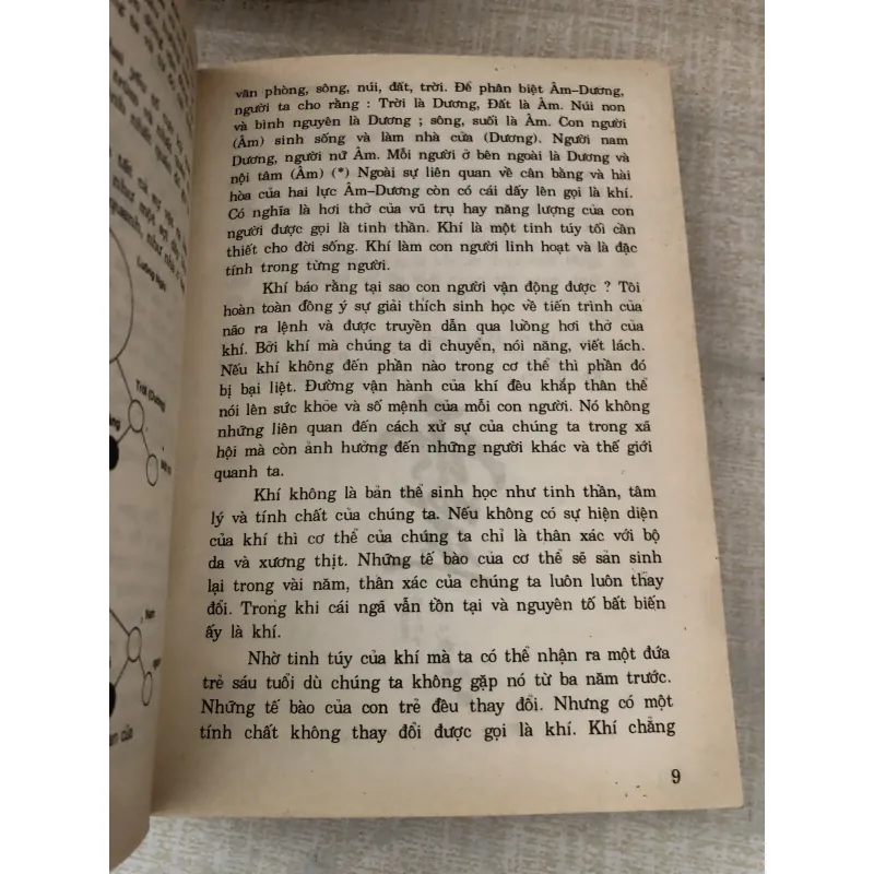 Trang trí nội ngoại thất theo thẩm mỹ và phong thủy phương Đông 996912
