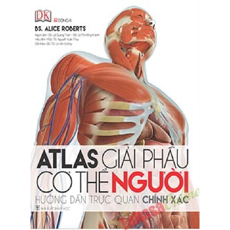 Atlas Giải Phẫu Cơ Thể Người New 100% HCM.PO 32342