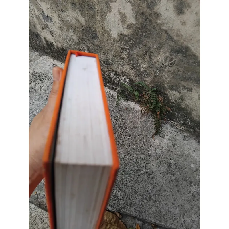 Kể chuyện nối thời gian - Lịch sử họ Ngô ở Việt Nam  1005731