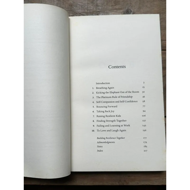 Option B - Sheryl Sandberg & Adam Grant 734647