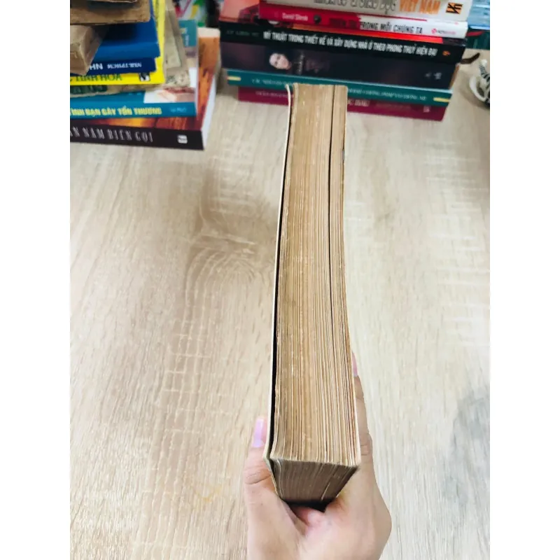 Thiền Sư Việt Nam – Giáo hội Phật giáo Việt Nam ấn hành 925768