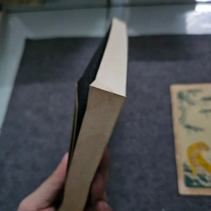 Nữ hoàng - Shan sa - sơn táp 747513