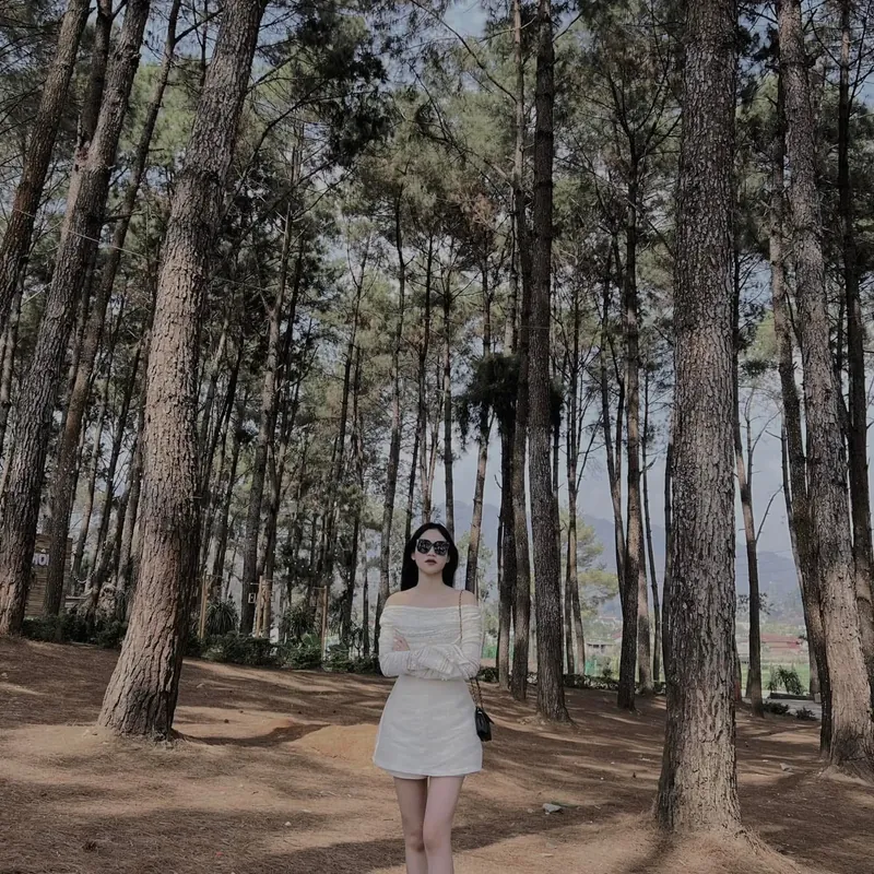 Sét áo , váy  575602