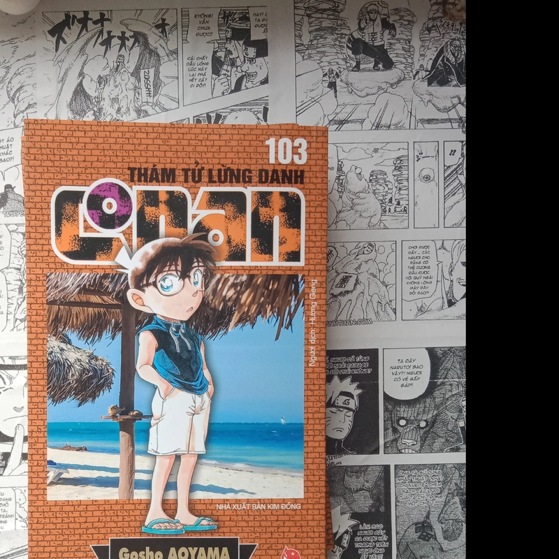 Truyện Conan tập 101,102,103 466268