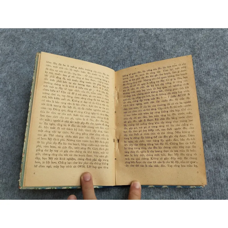 MÙA RẪY - NAM HÀ 606651