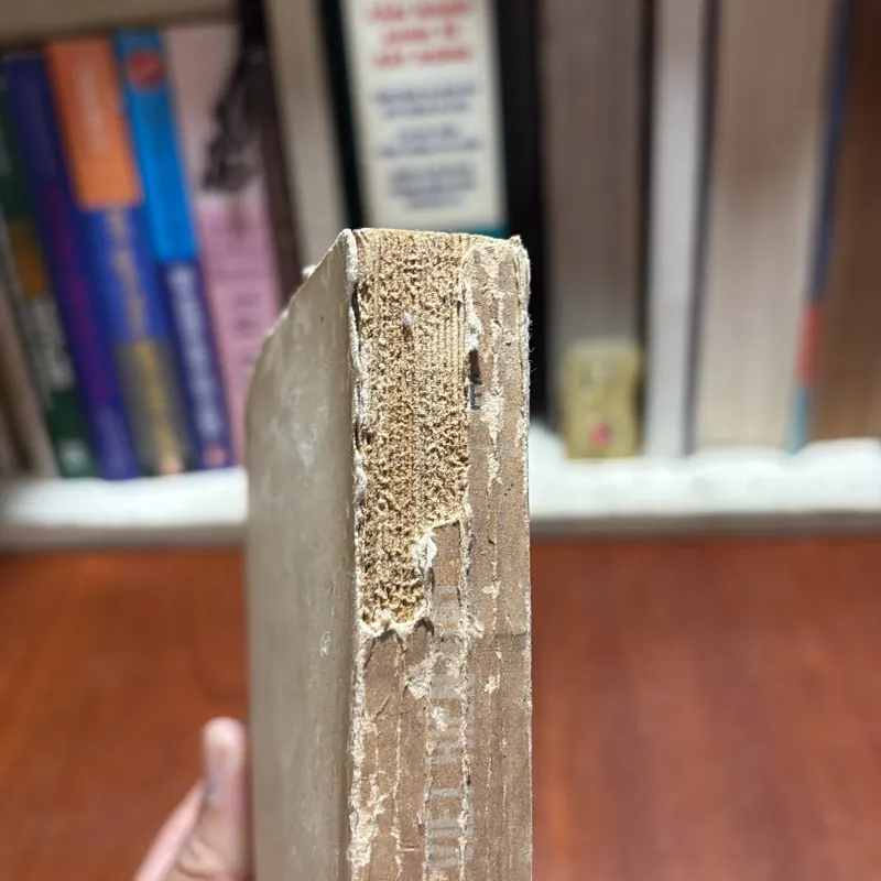 II Sách Xưa: Vấn Đề Cấu Tạo Từ Của Tiếng Việt Hiện Đại - Hồ Lê - 1976 926895