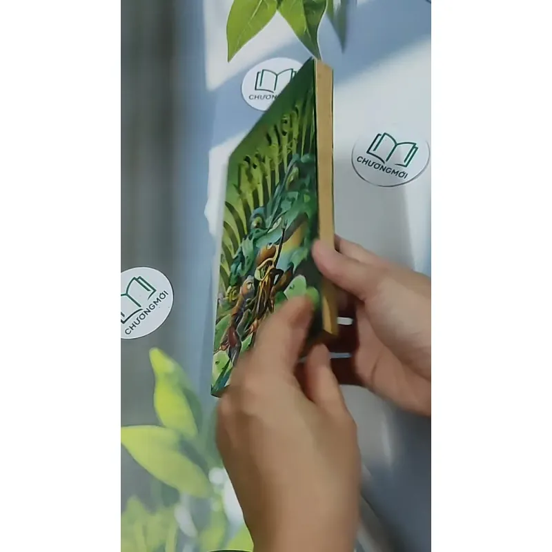 Dế Mèn phiêu lưu ký 698592