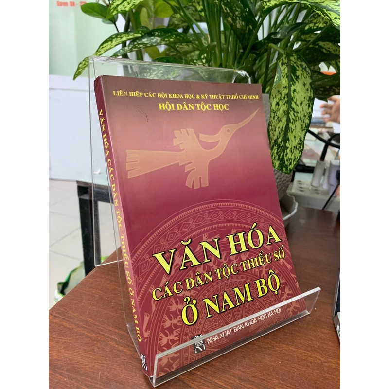 VĂN HÓA CÁC DÂN TỘC THIỂU SỐ Ở NAM BỘ - NGUYỄN THÚY MAI (BIÊN TẬP NỘI DUNG) 548632
