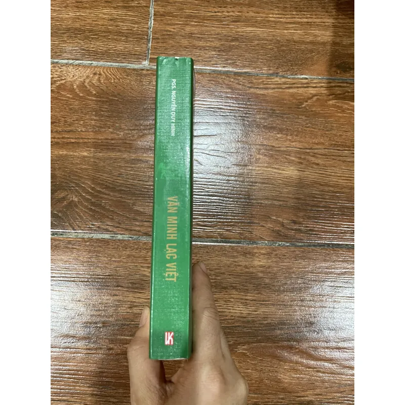 VĂN MINH LẠC VIỆT - Nguyễn Duy Hinh (9) 1020332