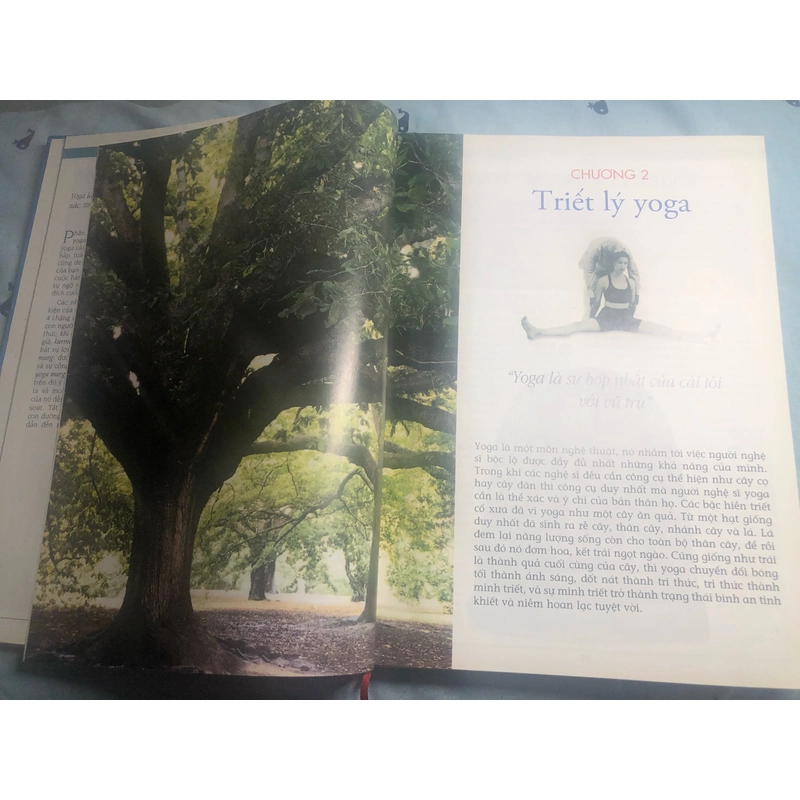 Kỹ thuật và Thực hành Yoga toàn tập - B.K.S. IYENGAR (bìa cứng) 327060