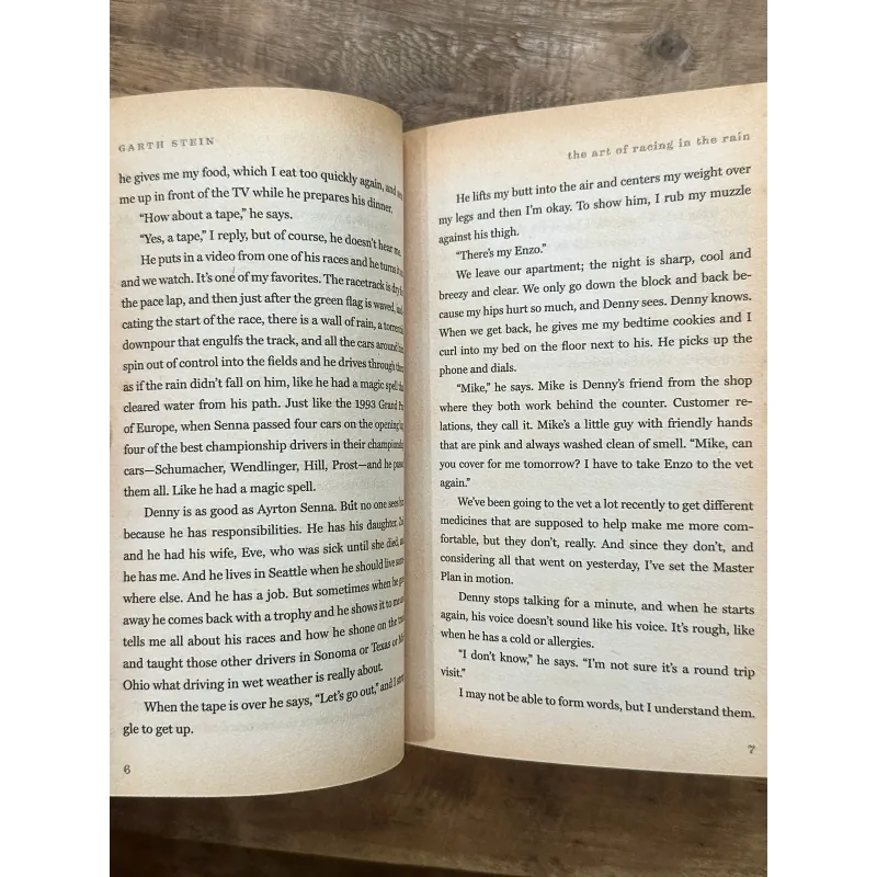 The Art of Racing in the Rain - Garth Stein 731950