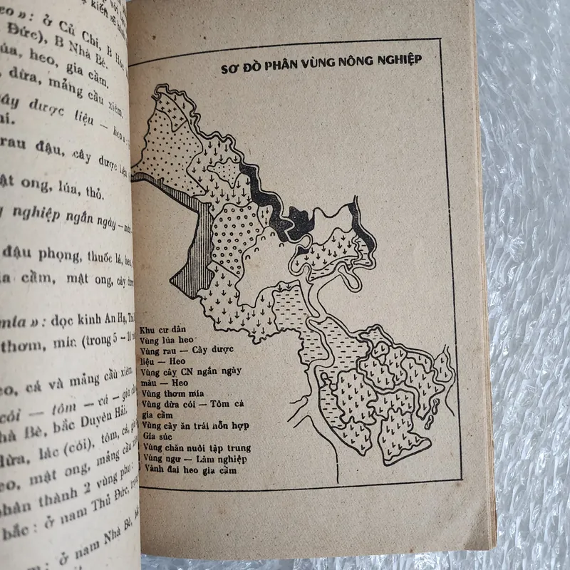 Địa lý Thành phố Hồ Chí Minh | 1987 693499