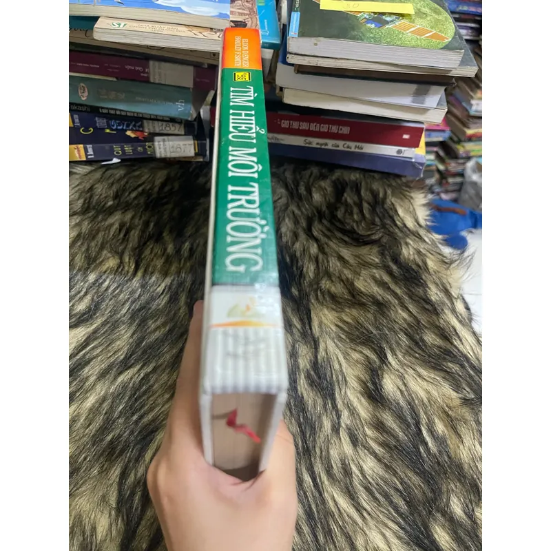 Tìm hiểu môi trường 598606