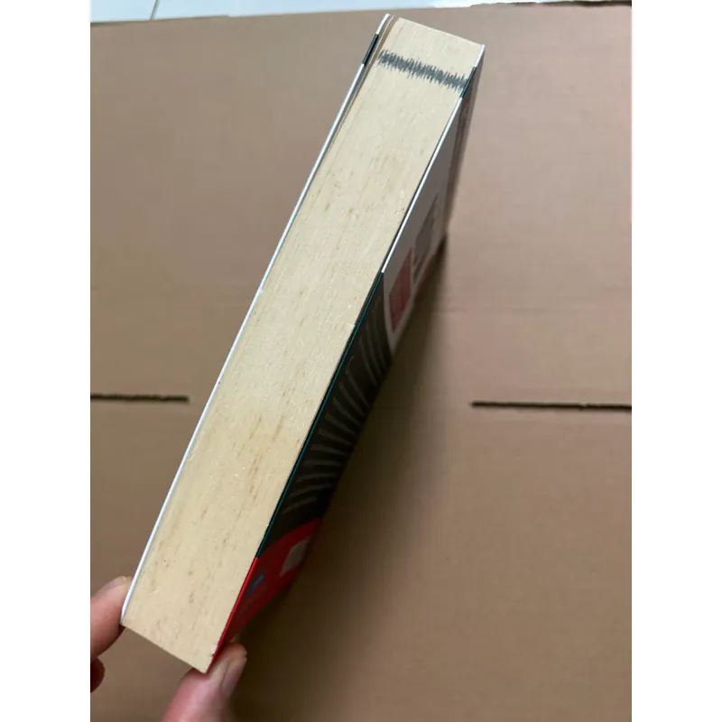 Sức mạnh của hiện tại 701688