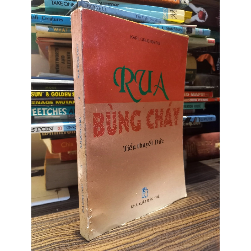 Rua bùng cháy 413493