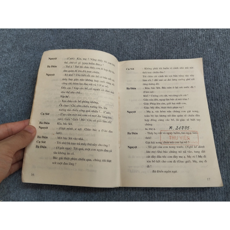 RỰC LỬA DIÊN HỒNG - MAI BÌNH 548224