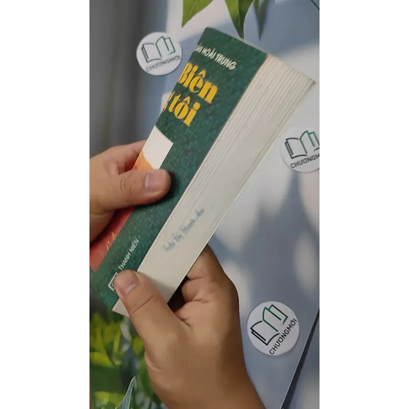 Điện Biên Trong Tôi - Đoàn Hoài Trung 798301