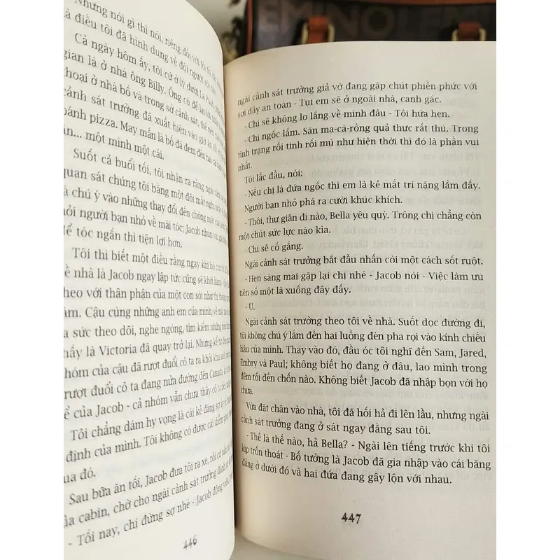 Bộ 4q Chạng vạng - Trăng non - Nhật thực - Hừng đông (nữ nhà văn Stephanie Meyer) 703817