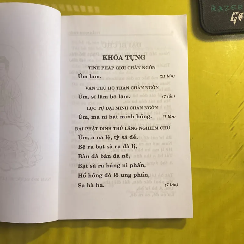 Kinh Dược Sư- Dịch Giả: Bồ Tát Giới Tuệ Nhuận 688421