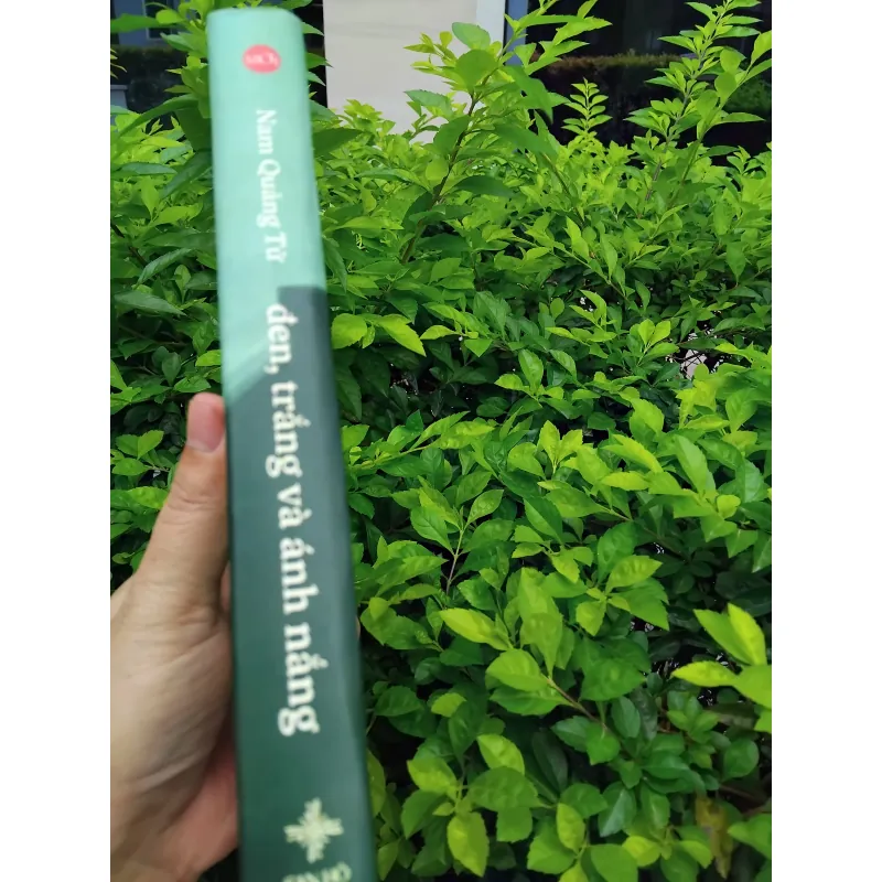 Đen, trắng và ánh nắng tiểu thuyết của Nam Quảng Tử 995298