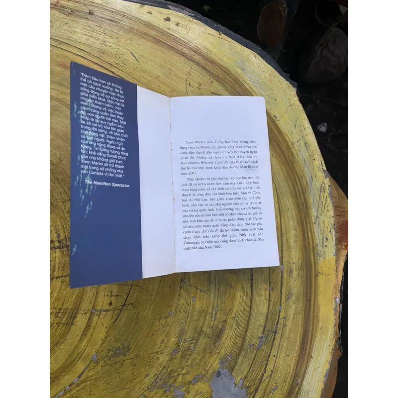 CUỘC ĐỜI CỦA PI- YANN MARTEL 735554