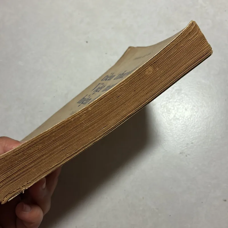 Tiểu thuyết Việt Nam hiện đại Tập 2 - Phan Cự Đệ - 1975s 797592