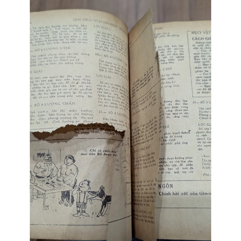 Lịch sách tử vi quý sửu 1973 125749