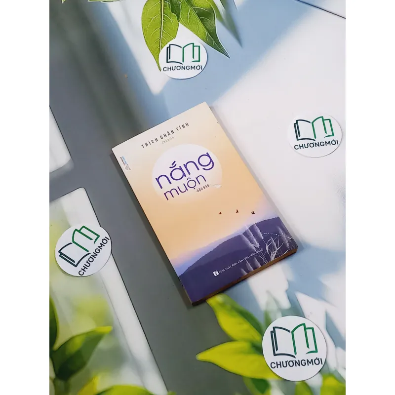 Nắng Muộn - Đậu Bảo 776107