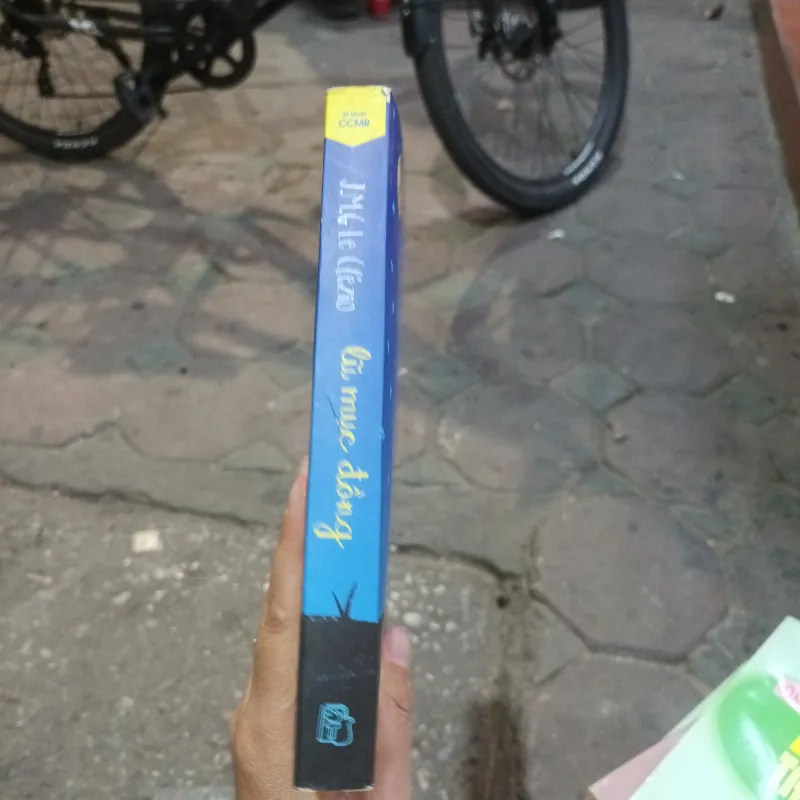 Lũ Mục Đồng - J.M.G Le Clezio 759239