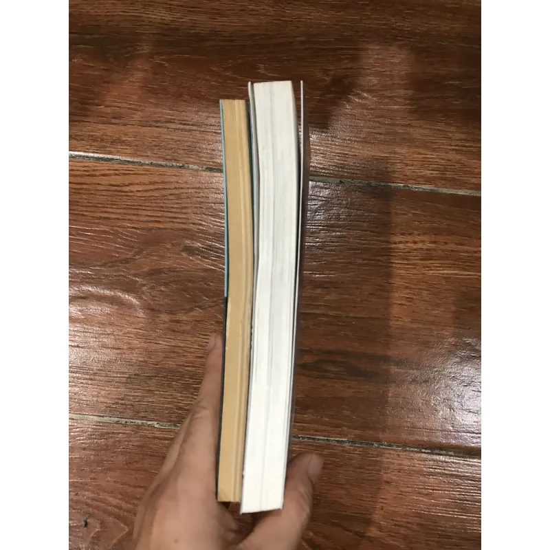 Phan Việt combo 2 cuốn: Một mình ở châu Âu . Phù phiếm muộn (15) 715157