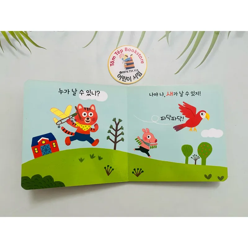 Set boardbook tiếng Hàn B36 1067376