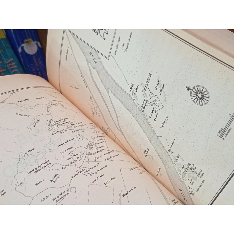 Tomb of the Golden Bird - Elizabeth Peters 509843