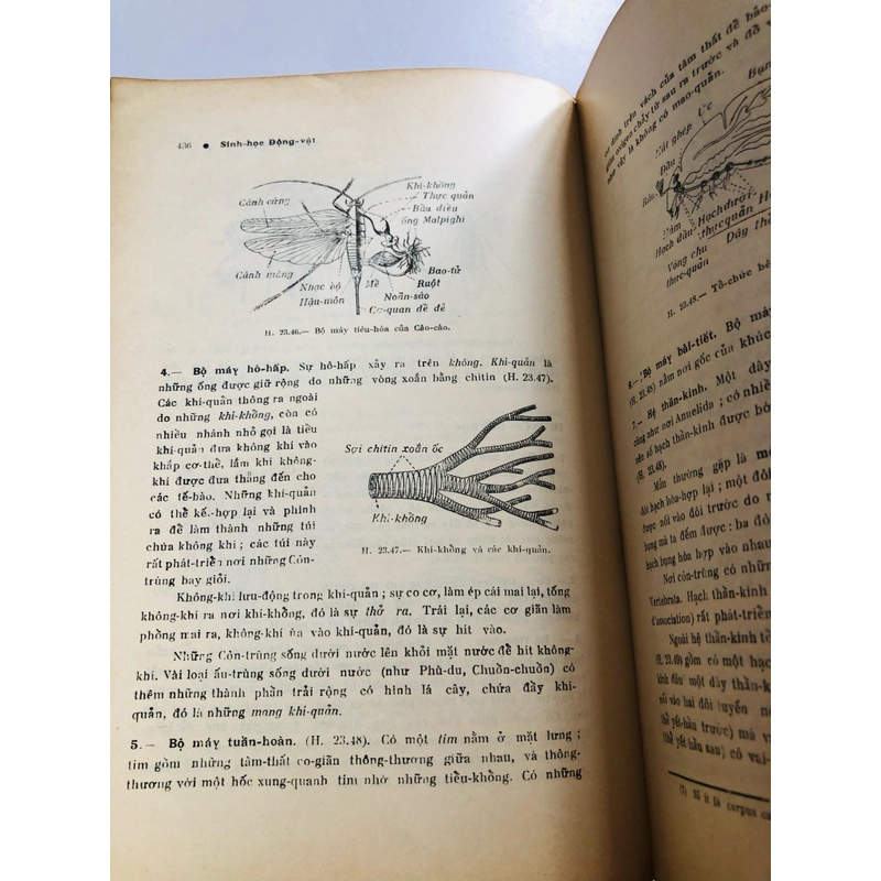 📚 SINH HỌC ĐỘNG VẬT  503988