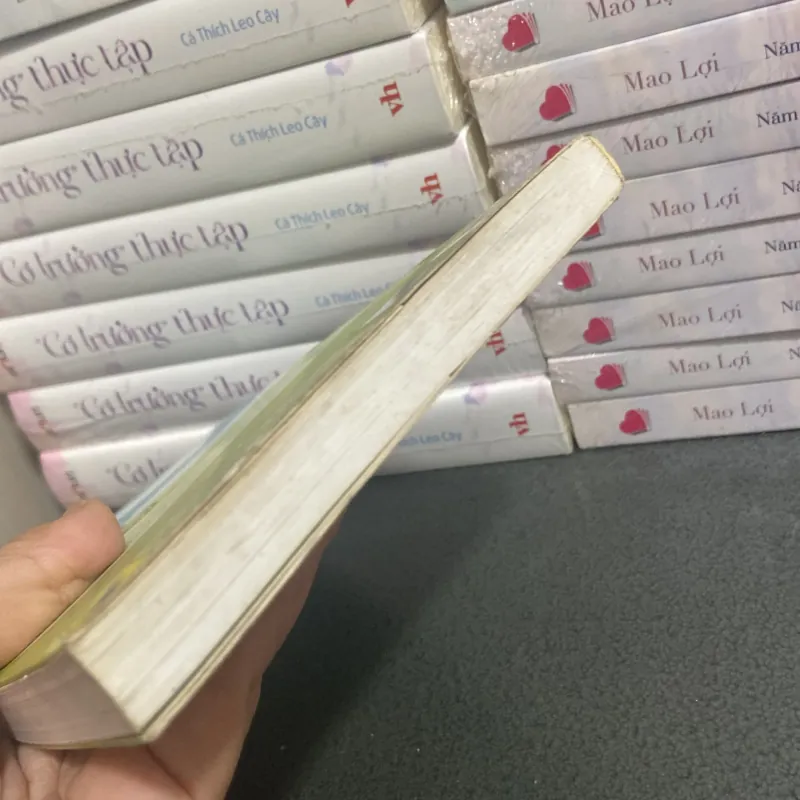 (Tập truyện ngắn) - Váy Hoa cuối hạ  997495