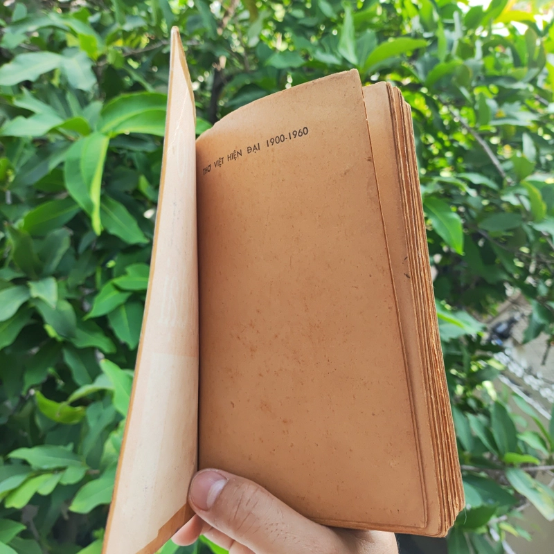 Thơ Việt Hiện Đại 1900 - 1960 - Uyên Thao 523378