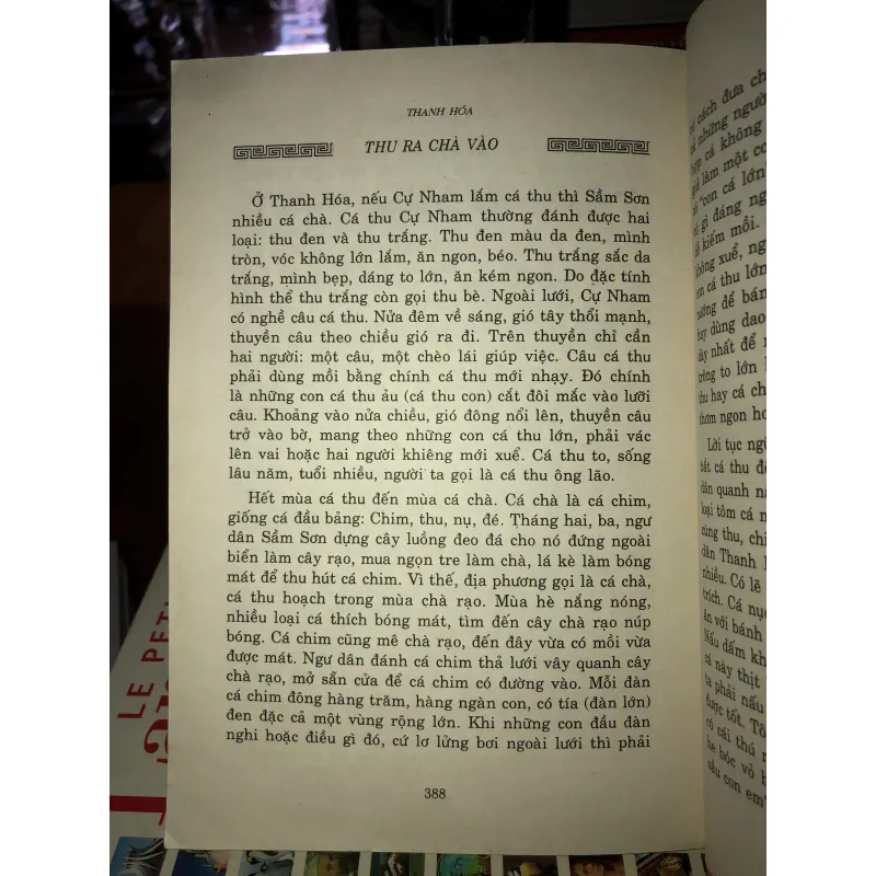 Thanh Hoá - Nghìn xưa lưu dấu - Hoàng Tuấn Phổ 761714