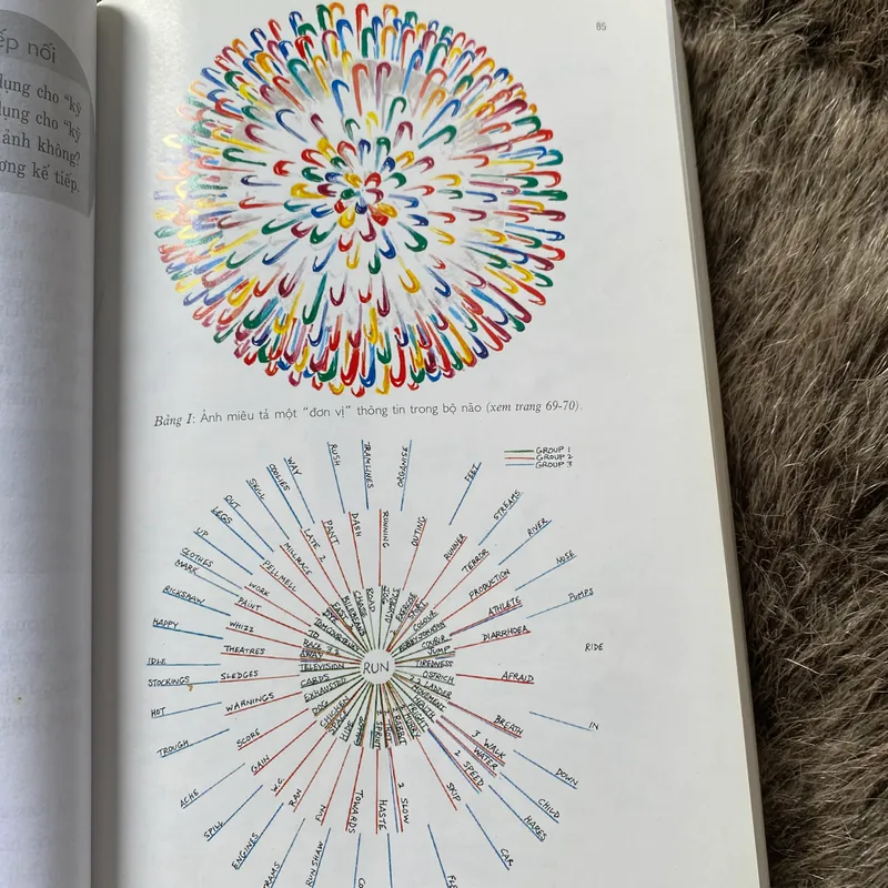 Sơ đồ tư duy- Tony Buzan  603182