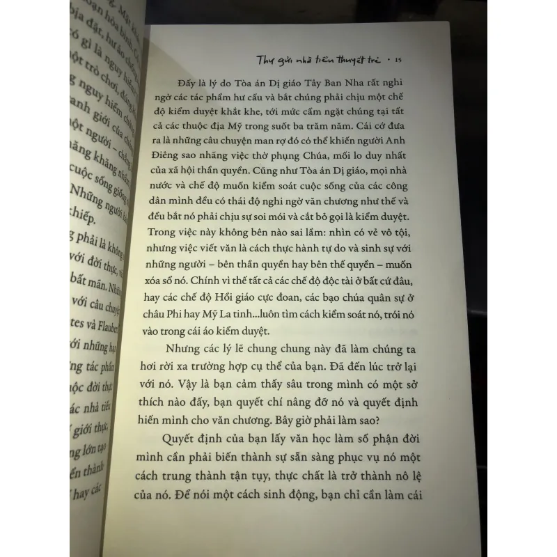 Thư gửi nhà tiểu thuyết trẻ - Maria Vargas Llosa 1027073