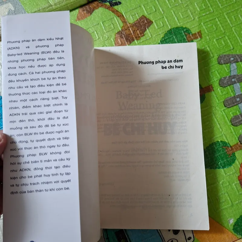 Phương pháp ăn dặm bé chỉ huy 937020