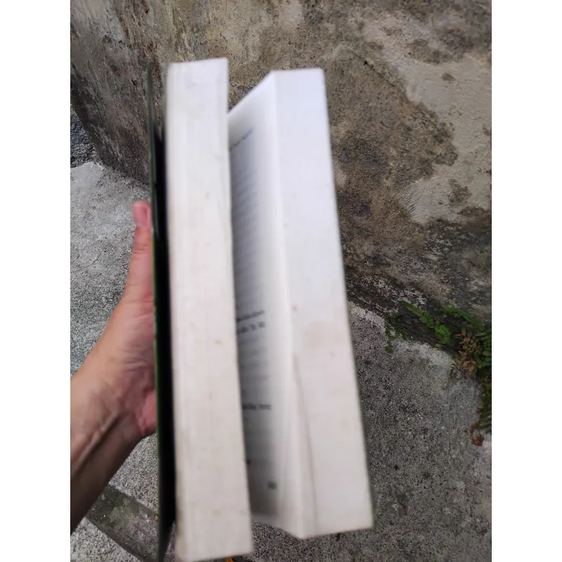 Về văn học dân gian xứ Nghệ của GS Ninh Viết Giao  1005726