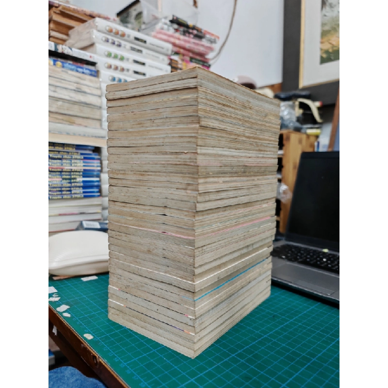 Truyện tranh kiếm sĩ mushashi 500387